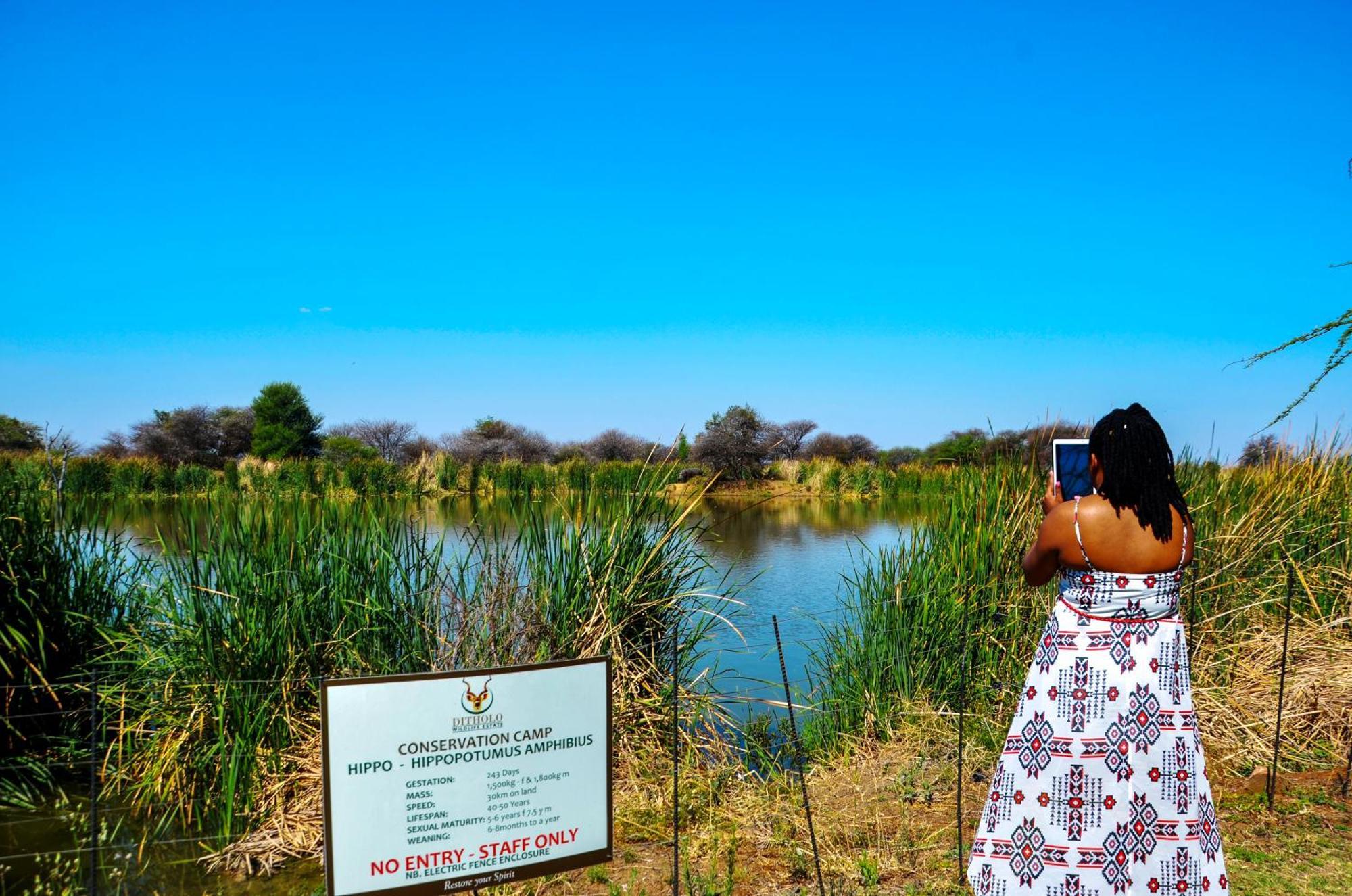 Ditholo Game Lodge Bela Bela Luaran gambar