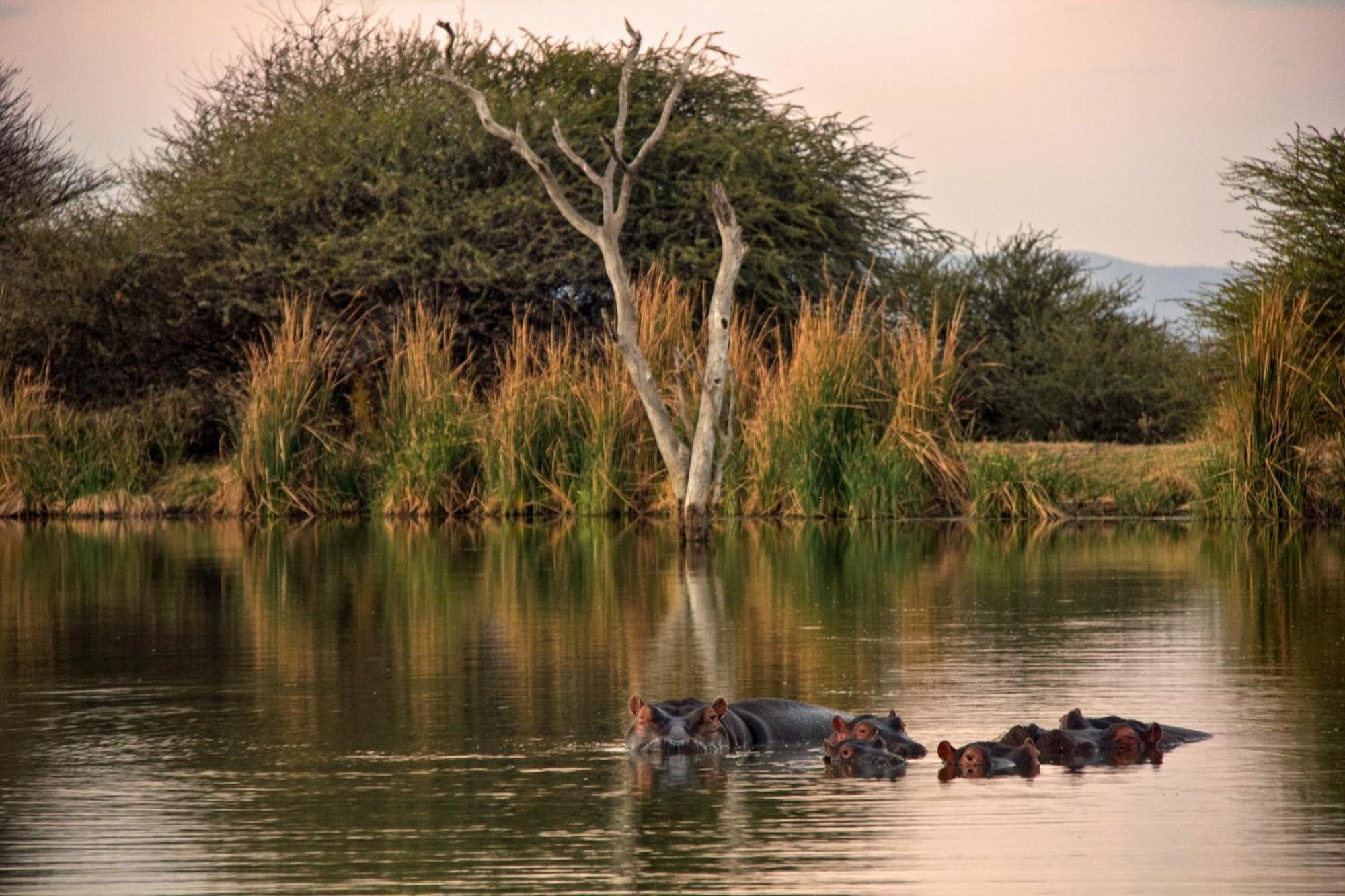 Ditholo Game Lodge Bela Bela Luaran gambar